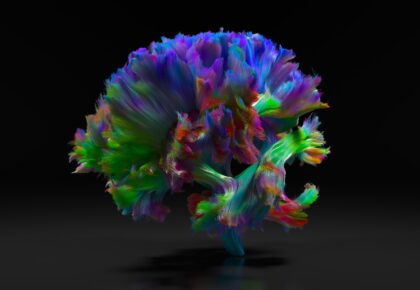 Brain - Connectome project